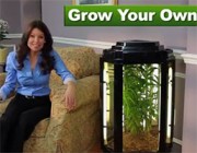 Phototron: Turning Your Living Room into a "Medicinal Herbs" Dispensary