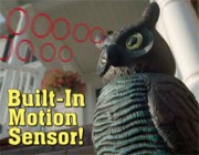 Watch Owl: TeleBrands' Bird Fetish Continues with a Mechanical Guardian Raptor